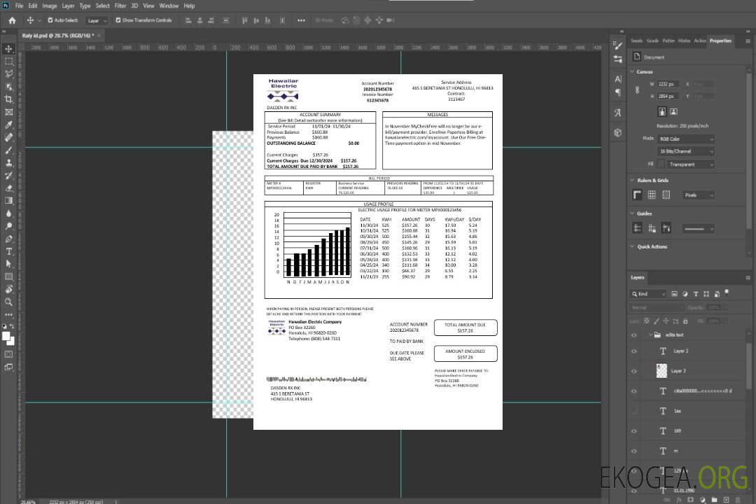 Modèle de facture de services publics d'entreprise USA Hawaiian Electric aux formats Word et PDF template